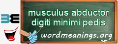 WordMeaning blackboard for musculus abductor digiti minimi pedis